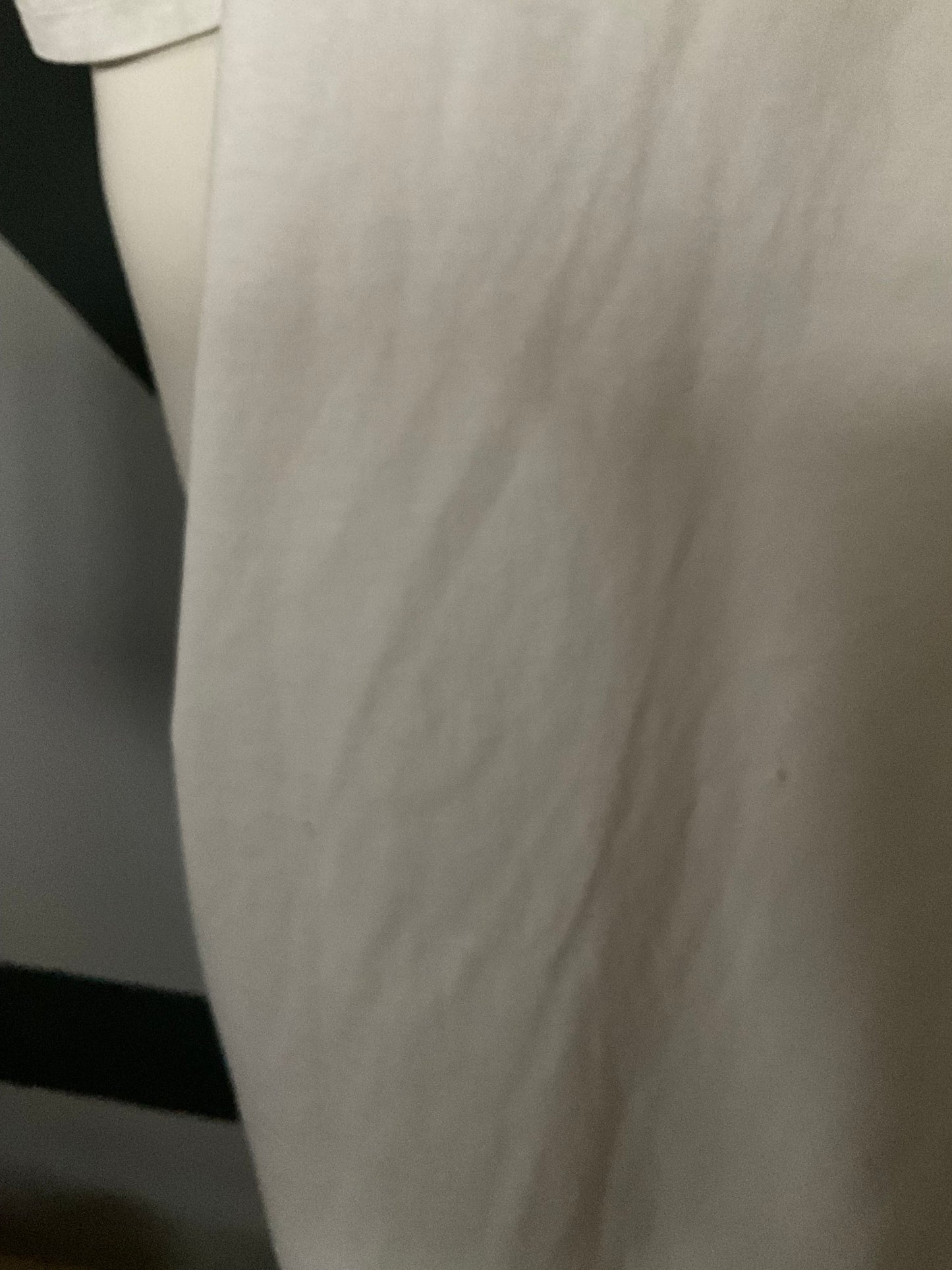 “Blondie” screen print / rhinestone short sleeve tee shirt